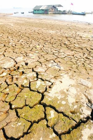 廣西近百縣市區發生秋旱(組圖)