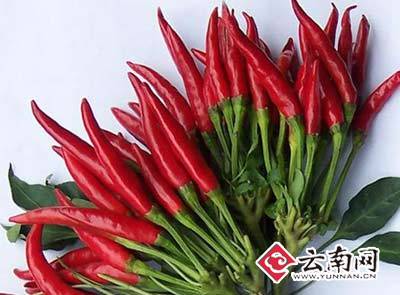 從“蒜你狠”到“蘋什么” 網絡熱詞“看漲”