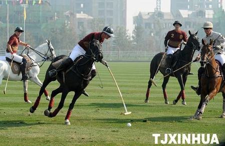 天津馬球運動公園試營業