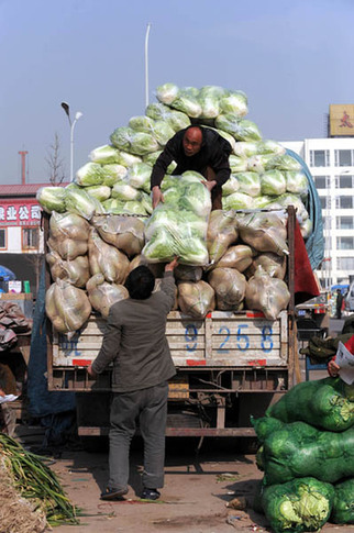 太原：冬儲菜上市 菜價再次上揚