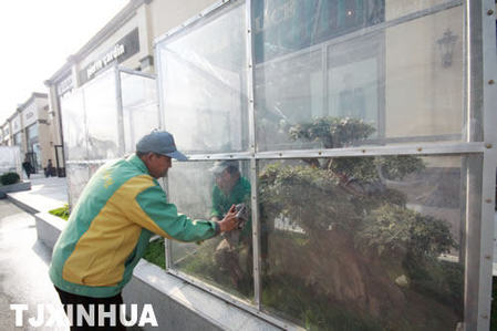 戶外植物“陽光房”里溫暖過冬天