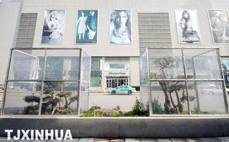 戶外植物“陽光房”里溫暖過冬天