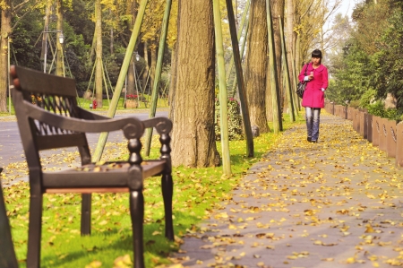 成都銀杏落葉只揀不掃　美景可欣賞至下月初