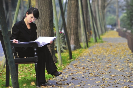 成都銀杏落葉只揀不掃　美景可欣賞至下月初