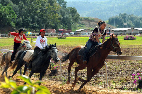 云南少數民族傳統體育運動會賽馬比賽舉行