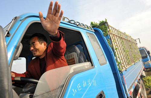 菜價(jià)究竟?jié)q在哪里？