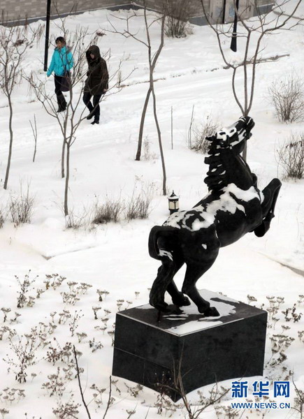 我國北方多個城市遭受暴雪襲擊(圖)