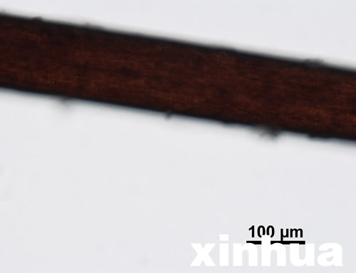 專家稱神農(nóng)架野人不存在 野人紅毛皆是偽造