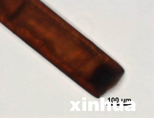 專家稱神農架野人不存在 野人紅毛皆是偽造