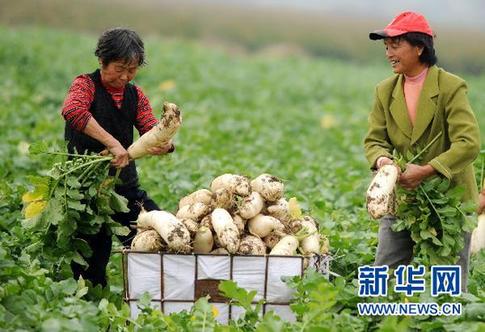 農副產品漲價態勢初步遏制 穩物價仍面臨三大難題