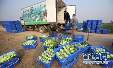 農(nóng)副產(chǎn)品漲價態(tài)勢初步遏制 穩(wěn)物價仍面臨三大難題