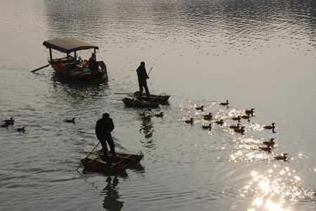 河南潢川：人歡魚躍(組圖)