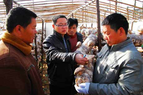 河南潢川：大學生村官創(chuàng)業(yè)基層助農(nóng)富
