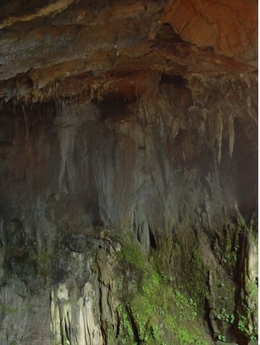 廣西10名失蹤“驢友”位置確定 大雪封山救援難度大