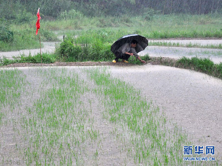 長江中下游“旱澇急轉” 專家解讀極端天氣現象