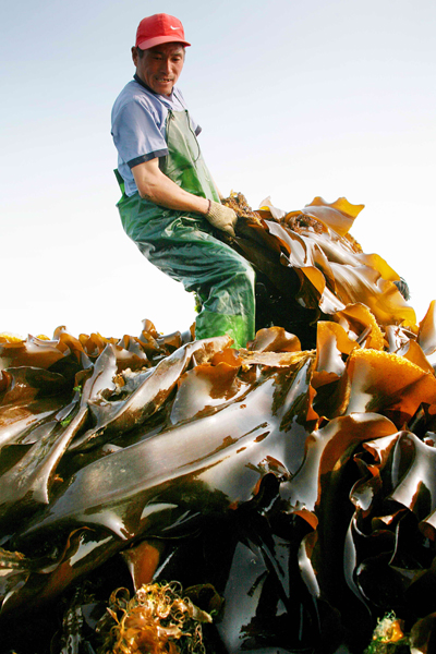 “靖海灣杯?藍色威海—秀美漁業”攝影展在威海舉行