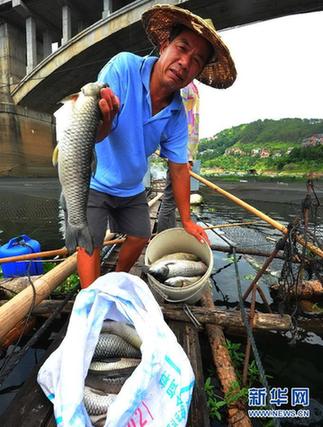 水葫蘆泛濫成災 福建全力“清剿”