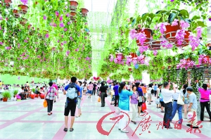南沙新區(qū)至深圳機(jī)場(chǎng)擬建海底隧道