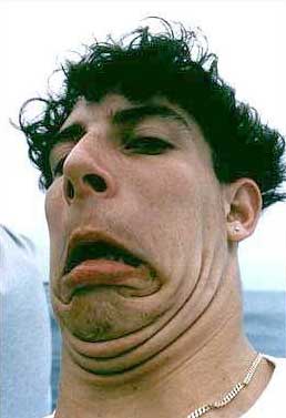 這樣的表情帝登峰造極了！