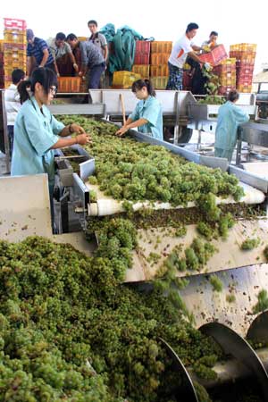 張?jiān)５奈鞑繎?zhàn)略