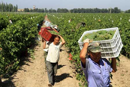 張?jiān)５奈鞑繎?zhàn)略