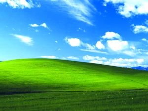 揭秘XP默認桌面:來自國家地理 身價世界第二