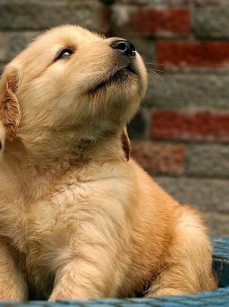 心情不好時(shí)看看這些趣圖吧