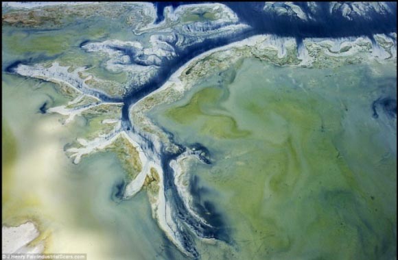 這是地球傷痕 不是玩藝術