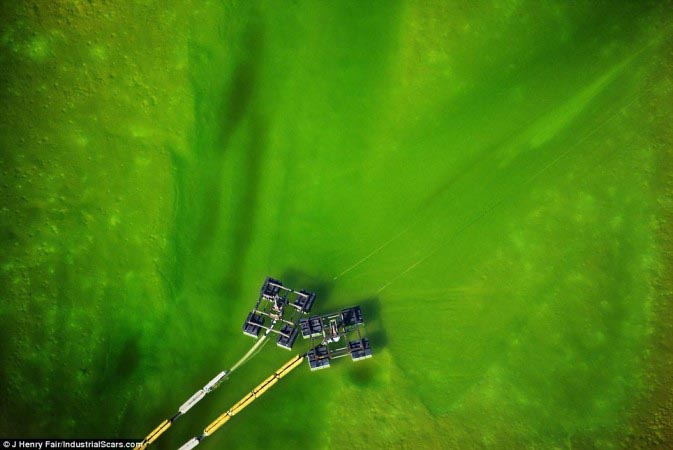 這是地球傷痕 不是玩藝術(shù)