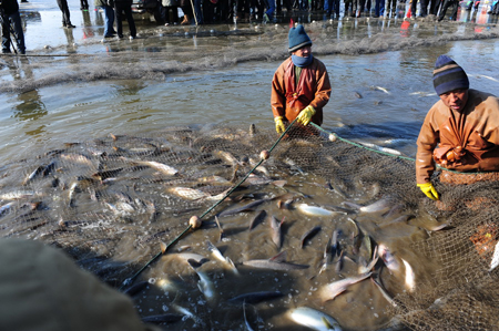 冰湖騰魚:盤錦市冬捕文化節(jié)開幕