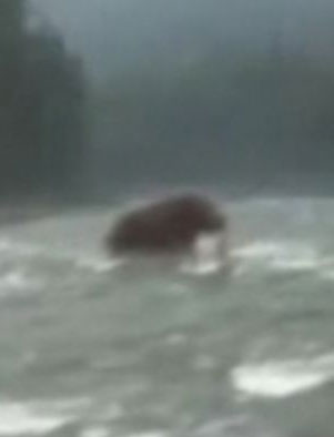 視頻曝俄遠東驚現史前動物 猛犸象復活?(圖)