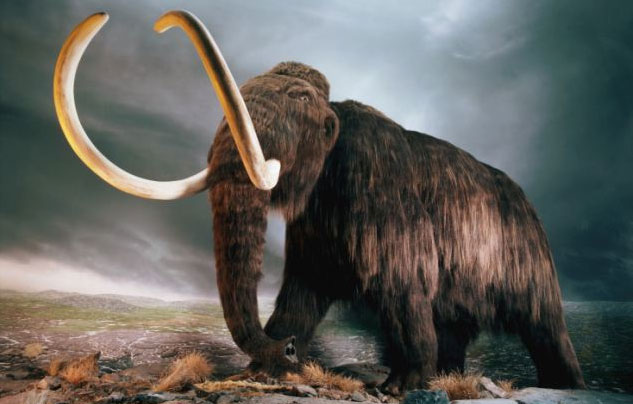 視頻曝俄遠東驚現史前動物 猛犸象復活?(圖)