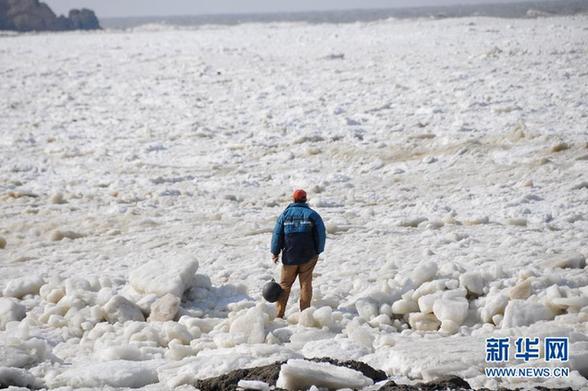 大連海域海冰融化 大量浮冰涌到岸邊