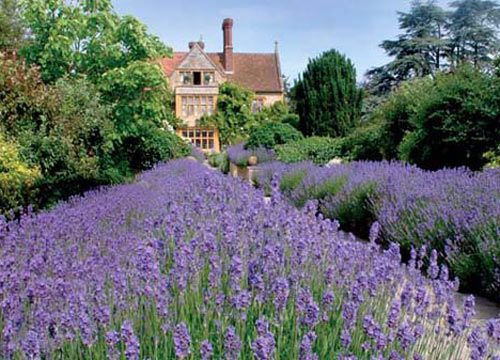 安靜的假期 精選10家小旅館去隱居