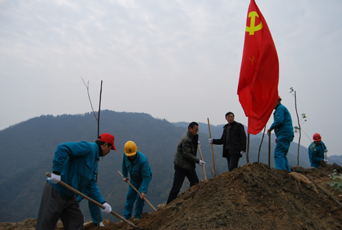 義務(wù)植樹(shù),其樂(lè)淘淘