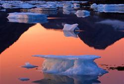 南極與北極十大差異：企鵝北極熊分居兩極