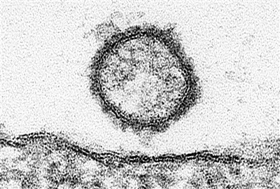 科技新視野:未來手機充電器靠呼吸發電(組圖)