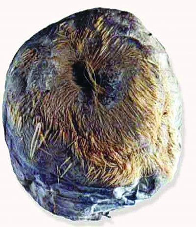 專(zhuān)家解析《甄嬛傳》用毒：有的有依據(jù)有的不靠譜