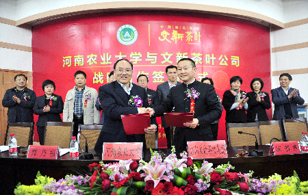河南農業大學與信陽文新茶葉公司“聯姻”