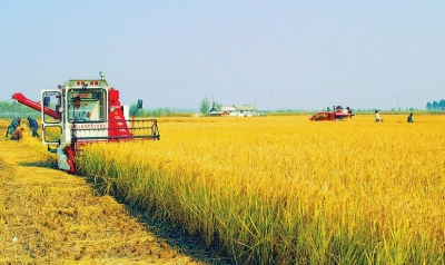 吉林：讓城鄉居民生活得更加美好