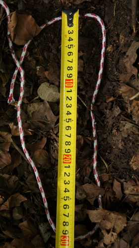 民間野考隊稱發(fā)現(xiàn)神農(nóng)架野人活動新證據(jù)