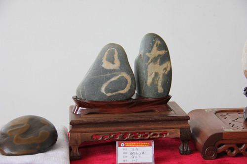 中國首屆金沙江奇石藝術博覽會展品令人嘆為觀止