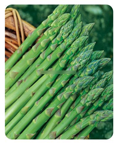 美膚推介:排毒功能最強(qiáng)的19種食物(組圖)