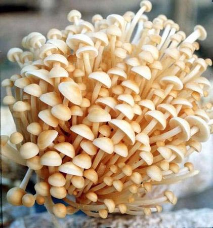 女性養(yǎng)生：胸部愛“吃”哪些食物？