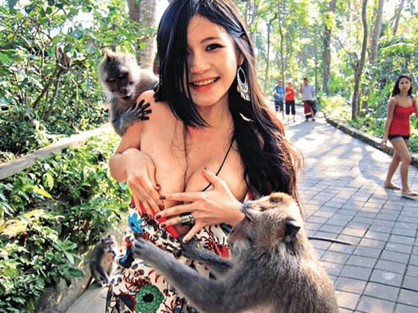 動物襲擊人的搞笑瞬間