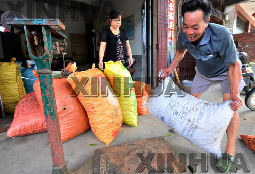 福建閩侯：橄欖大豐收 果農卻發愁