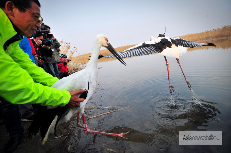 《中國日報》一周圖片精選：11月17日—11月23日