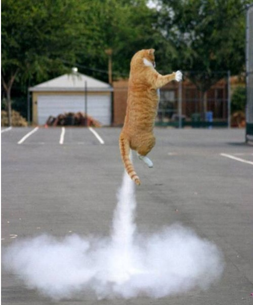 假如這些惡搞變成現實