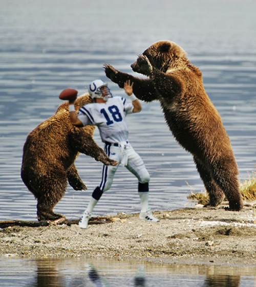 假如這些惡搞變成現(xiàn)實