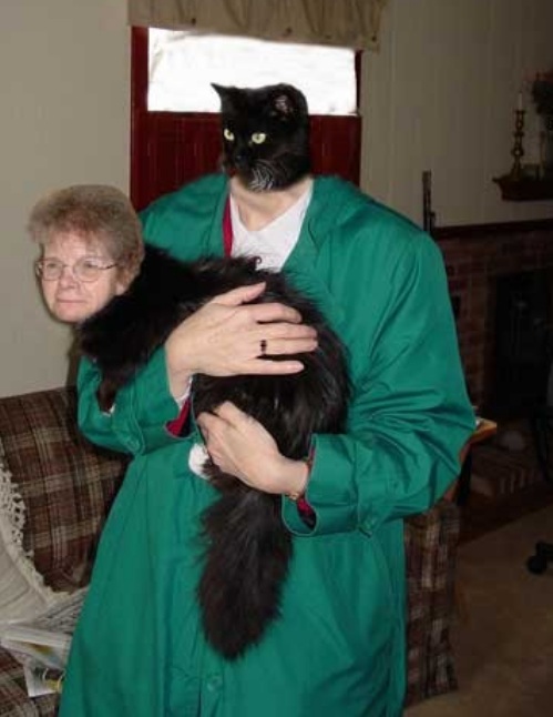 假如這些惡搞變成現實